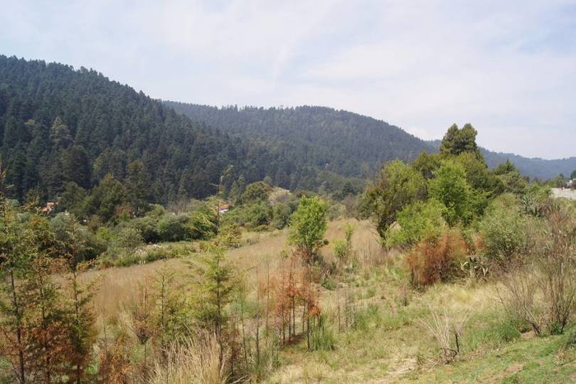 Lerma,Estado de Mexico,México,Lotes-Terrenos,2472