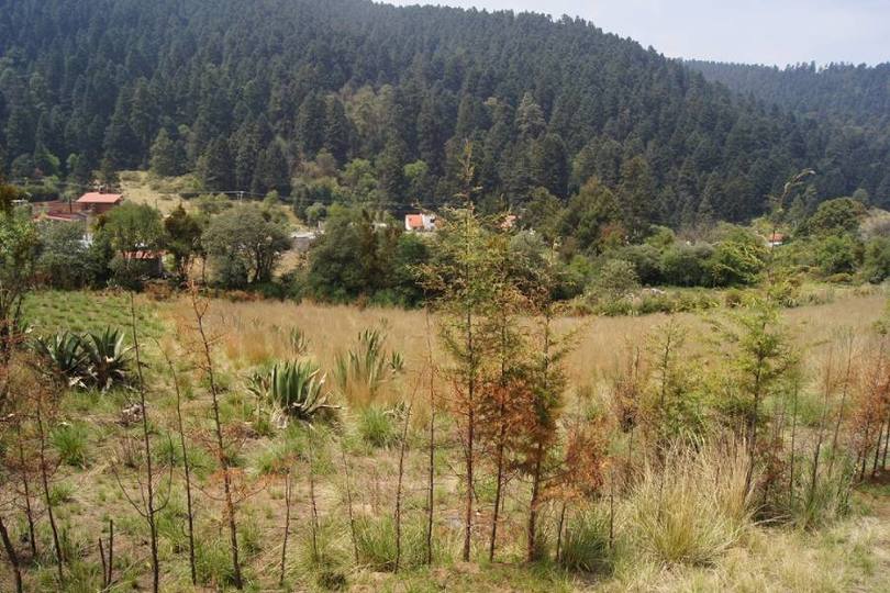 Lerma,Estado de Mexico,México,Lotes-Terrenos,2472
