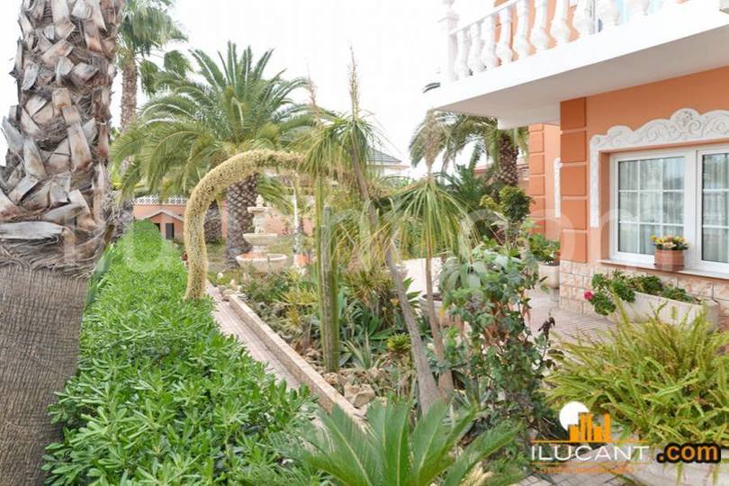 San Vicente del Raspeig,Alicante,España,9 Bedrooms Bedrooms,6 BathroomsBathrooms,Chalets,17857