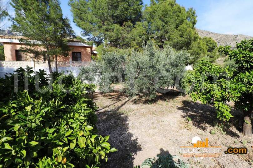 Busot,Alicante,España,5 Bedrooms Bedrooms,2 BathroomsBathrooms,Chalets,17870