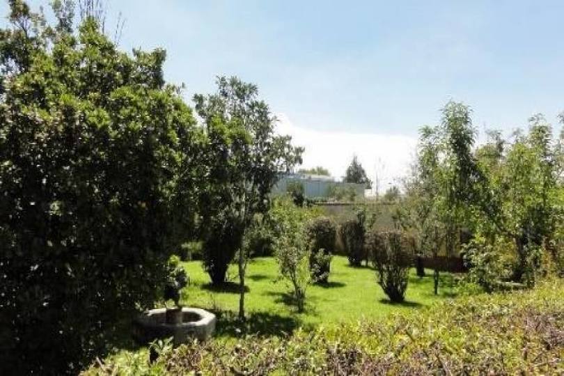 Ocoyoacac,Estado de Mexico,México,1 BañoBaños,Lotes-Terrenos,2532