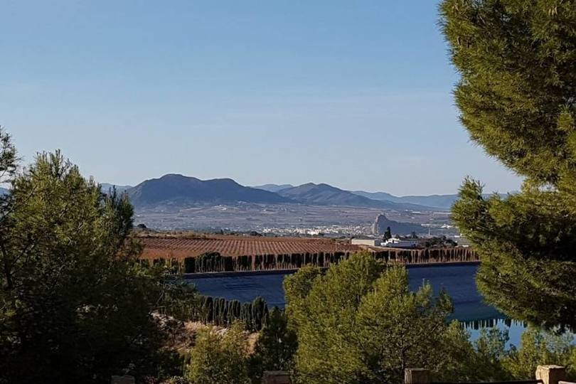 Sax,Alicante,España,4 Bedrooms Bedrooms,1 BañoBathrooms,Chalets,17899