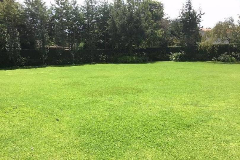 Ocoyoacac,Estado de Mexico,México,Lotes-Terrenos,2539