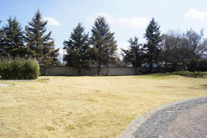 Ocoyoacac,Estado de Mexico,México,Lotes-Terrenos,2540