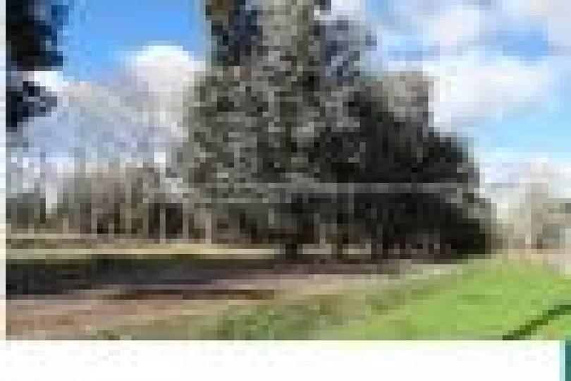 Pilar,Buenos Aires,Argentina,Lotes-Terrenos,ruta 8 ,2597