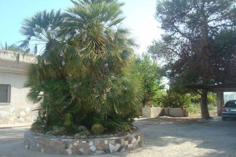 Elche,Alicante,España,3 Bedrooms Bedrooms,2 BathroomsBathrooms,Chalets,18910