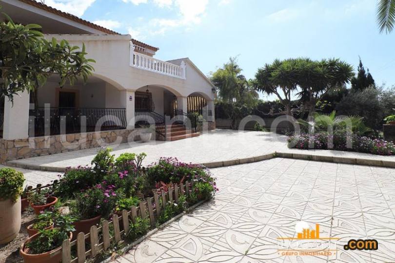 San Vicente del Raspeig,Alicante,España,5 Bedrooms Bedrooms,4 BathroomsBathrooms,Chalets,18950