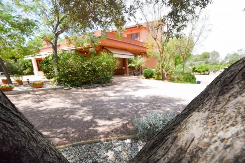 Elche,Alicante,España,6 Bedrooms Bedrooms,2 BathroomsBathrooms,Chalets,18969
