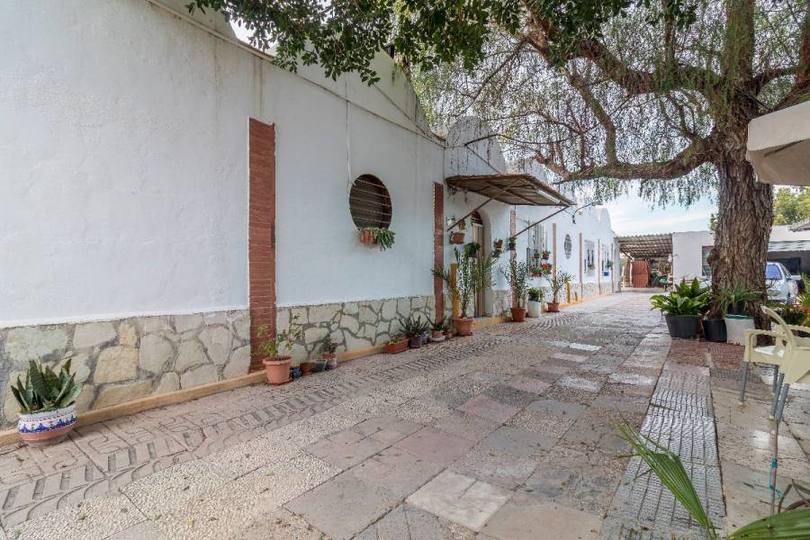 Elche,Alicante,España,4 Bedrooms Bedrooms,1 BañoBathrooms,Chalets,19023