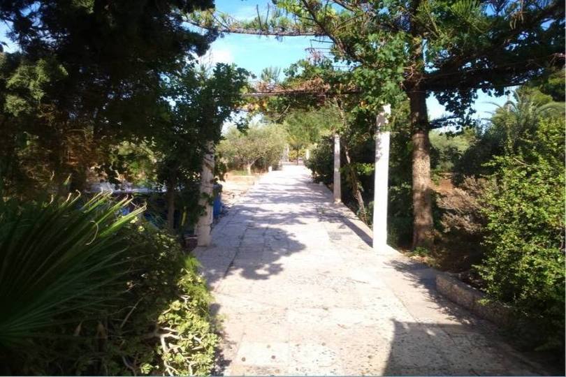 Elche,Alicante,España,3 Bedrooms Bedrooms,1 BañoBathrooms,Chalets,19070