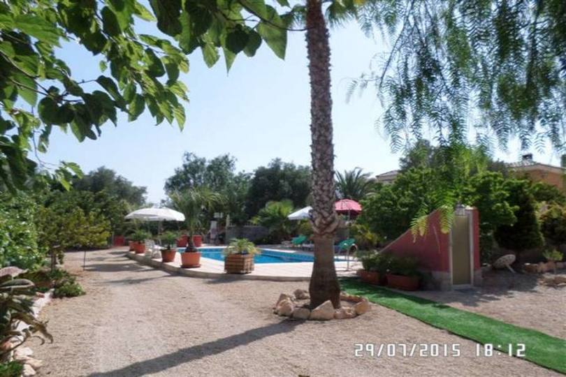 Elche,Alicante,España,3 Bedrooms Bedrooms,3 BathroomsBathrooms,Chalets,19132