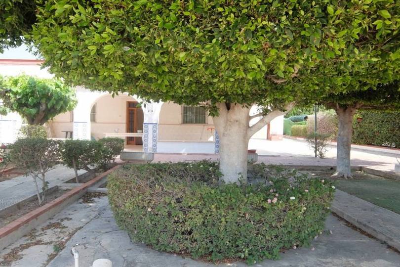Elche,Alicante,España,5 Bedrooms Bedrooms,2 BathroomsBathrooms,Chalets,19283