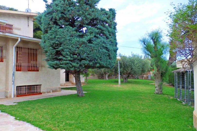 Elche,Alicante,España,6 Bedrooms Bedrooms,3 BathroomsBathrooms,Chalets,19287