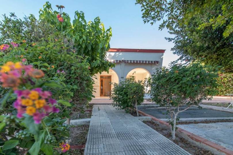 Elche,Alicante,España,5 Bedrooms Bedrooms,2 BathroomsBathrooms,Chalets,19288