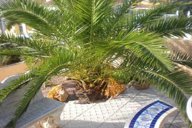 Gran alacant,Alicante,España,2 Bedrooms Bedrooms,2 BathroomsBathrooms,Chalets,19431