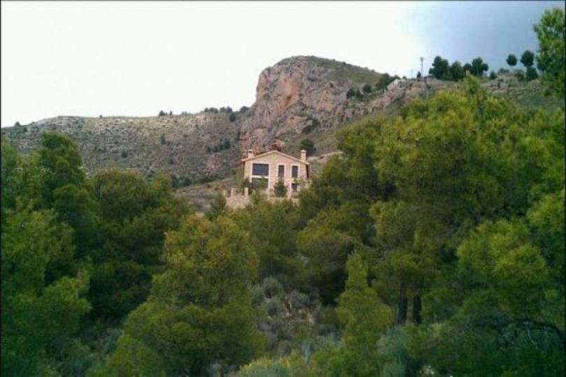 Alicante,Alicante,España,5 Bedrooms Bedrooms,4 BathroomsBathrooms,Chalets,19435