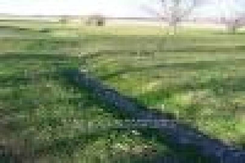Olivera,Buenos Aires,Argentina,Campos,2696