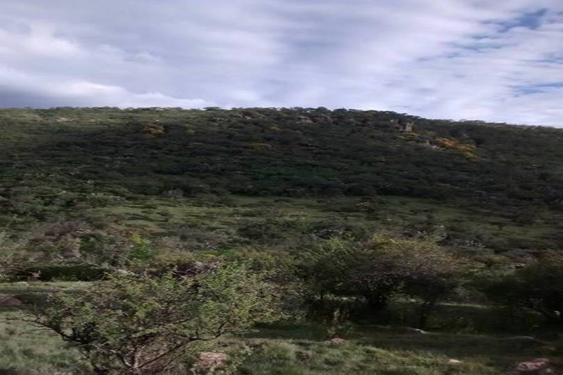 León,Guanajuato,México,Fincas-Villas,carretera de comanja,2737