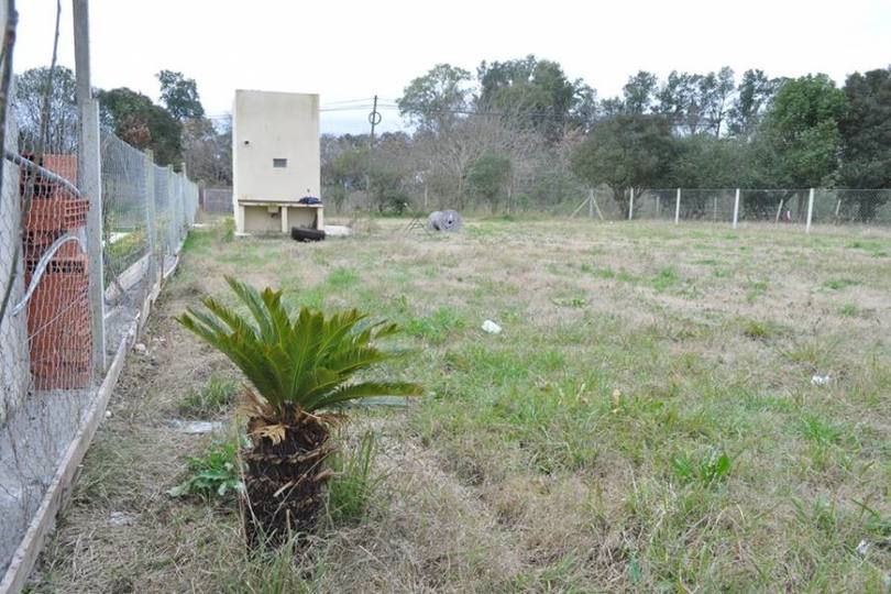 Berazategui,Buenos Aires,Argentina,Lotes-Terrenos,611,2757