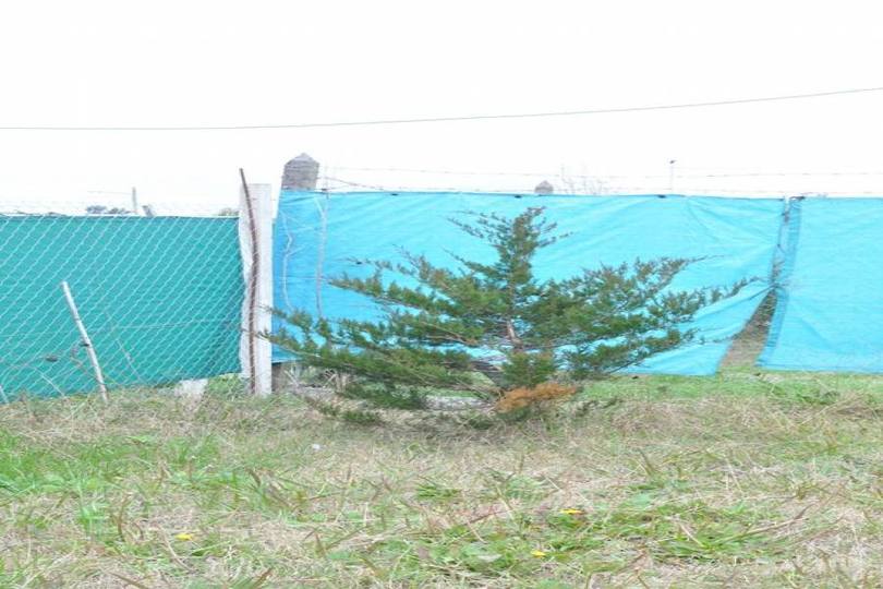 Berazategui,Buenos Aires,Argentina,Lotes-Terrenos,611,2757