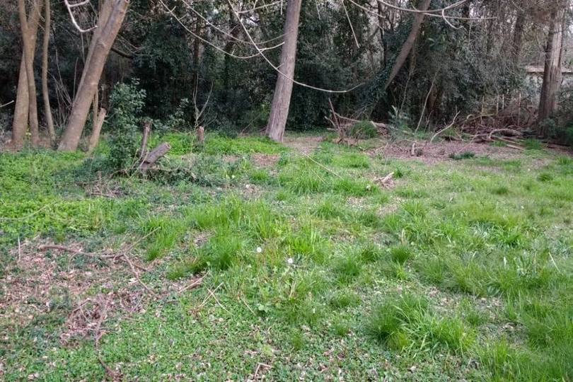 Berazategui,Buenos Aires,Argentina,Lotes-Terrenos,539,2758