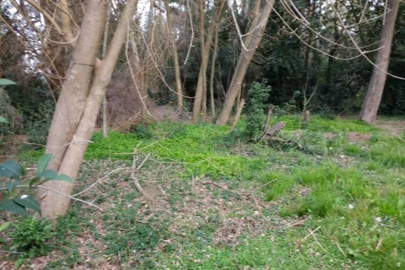 Berazategui,Buenos Aires,Argentina,Lotes-Terrenos,539,2758