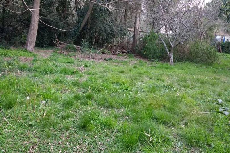 Berazategui,Buenos Aires,Argentina,Lotes-Terrenos,539,2758