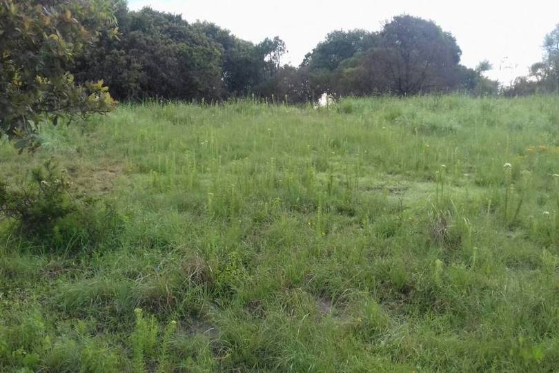 Amozoc,Puebla,México,Lotes-Terrenos,2813