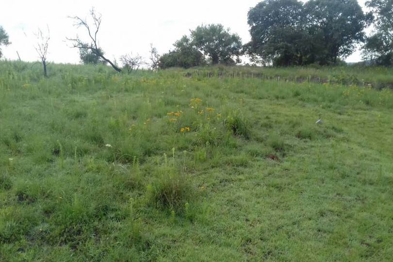 Amozoc,Puebla,México,Lotes-Terrenos,2813