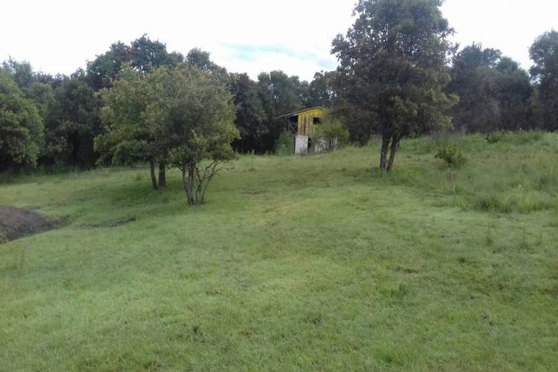 Amozoc,Puebla,México,Lotes-Terrenos,2813