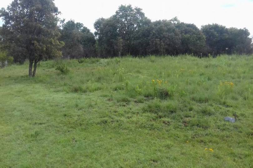 Amozoc,Puebla,México,Lotes-Terrenos,2813