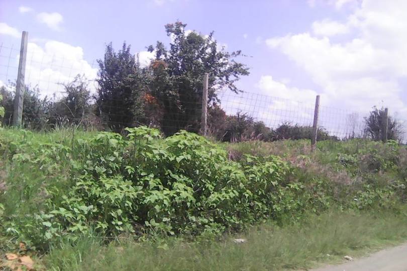 Juan C. Bonilla,Puebla,México,Lotes-Terrenos,2814