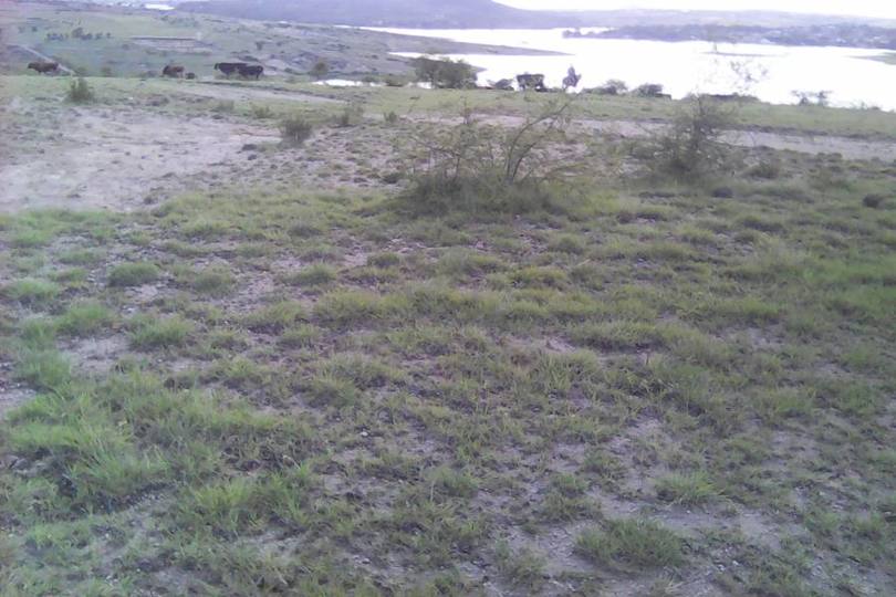 Puebla,Puebla,México,Lotes-Terrenos,2824