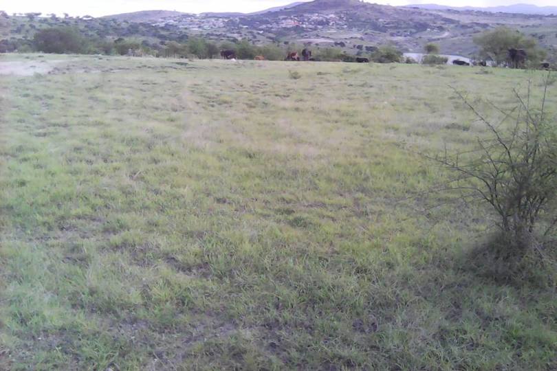 Puebla,Puebla,México,Lotes-Terrenos,2824