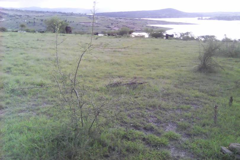 Puebla,Puebla,México,Lotes-Terrenos,2824