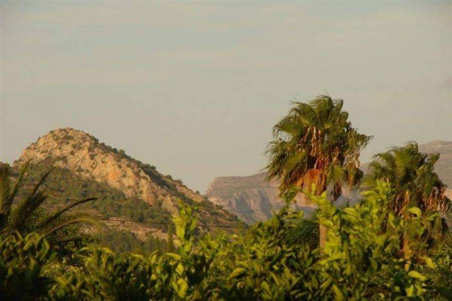 Pedreguer,Alicante,España,4 Bedrooms Bedrooms,3 BathroomsBathrooms,Casas de pueblo,20641