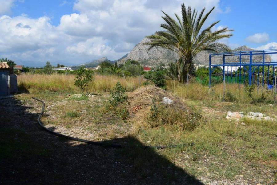 El Verger,Alicante,España,5 Bedrooms Bedrooms,3 BathroomsBathrooms,Casas de pueblo,20803