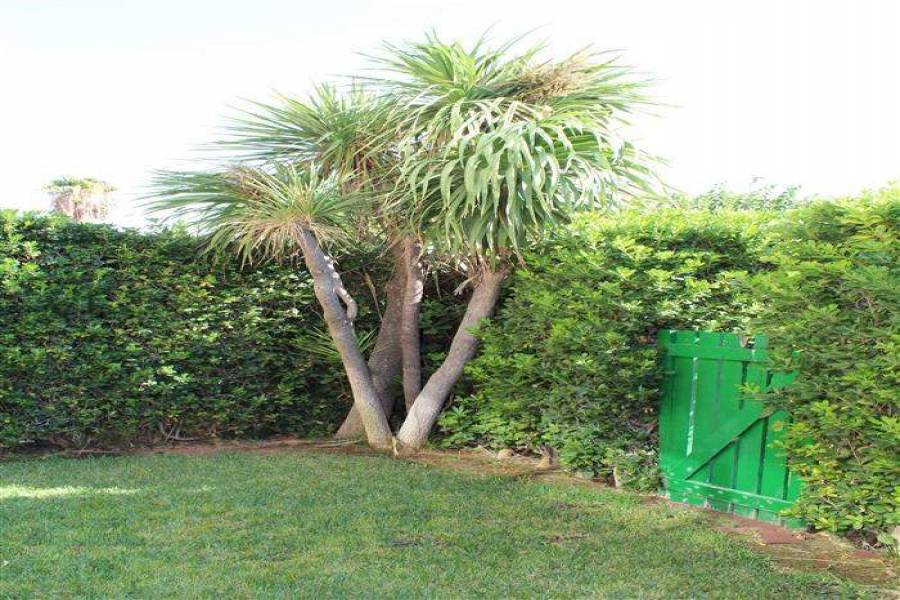 Dénia,Alicante,España,2 Bedrooms Bedrooms,1 BañoBathrooms,Apartamentos,20973