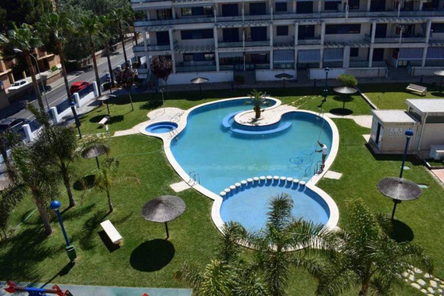 Dénia,Alicante,España,1 Dormitorio Bedrooms,1 BañoBathrooms,Apartamentos,20974