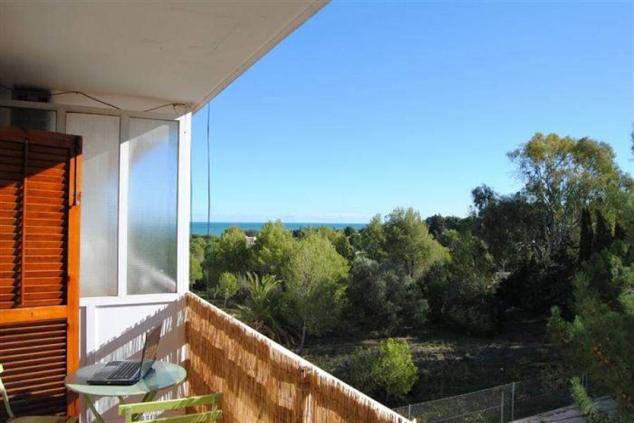 Dénia,Alicante,España,1 Dormitorio Bedrooms,1 BañoBathrooms,Apartamentos,20994