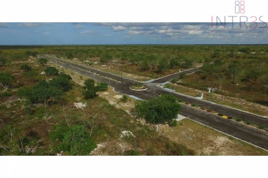 Mérida,Yucatán,México,Lotes-Terrenos,Suytunchén,2943