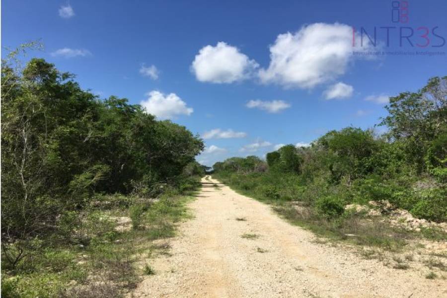 Mérida,Yucatán,México,Lotes-Terrenos,san ignacio,2947