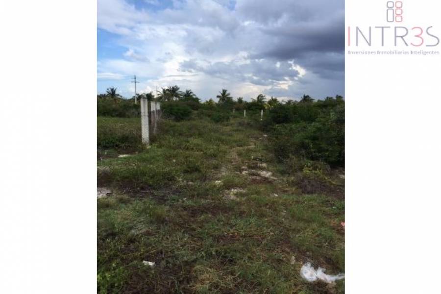 Chicxulub Puerto,Yucatán,México,Lotes-Terrenos,progreso,2948