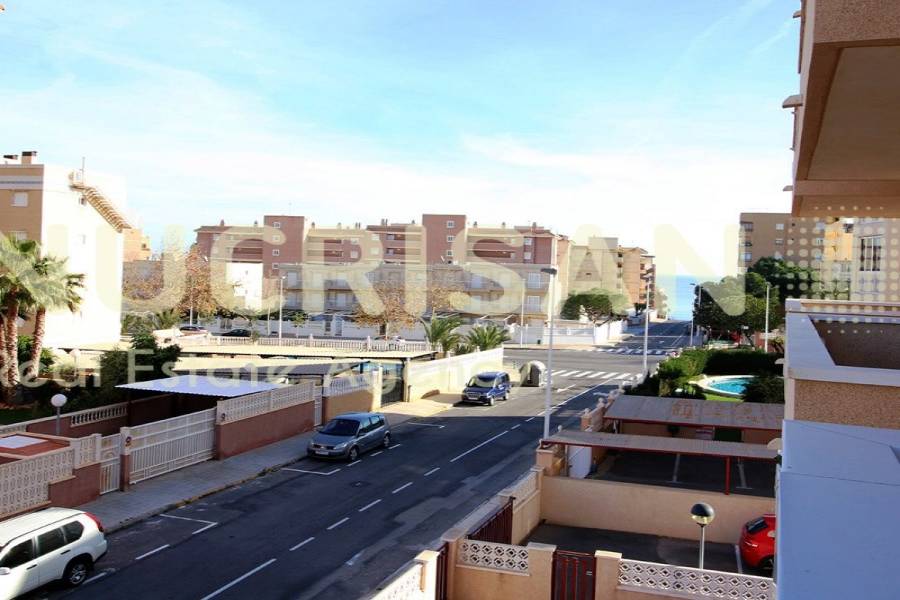 Elche,Alicante,España,2 Bedrooms Bedrooms,1 BañoBathrooms,Apartamentos,21596