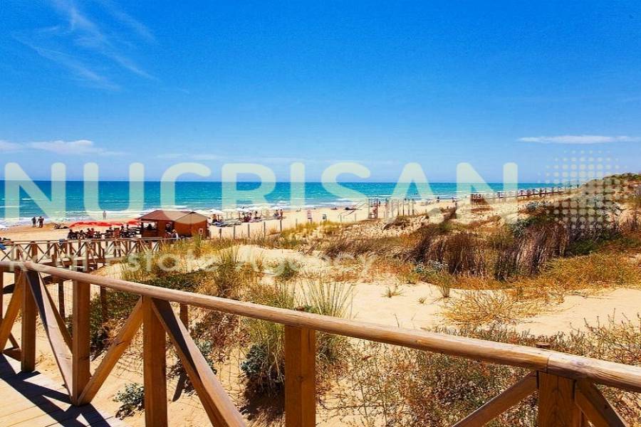 Guardamar del Segura,Alicante,España,Edificio,21616