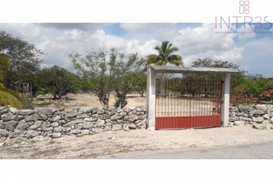 Mérida,Yucatán,México,Lotes-Terrenos,ruta 261,2961