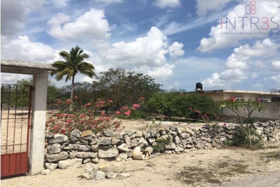 Mérida,Yucatán,México,Lotes-Terrenos,ruta 261,2961