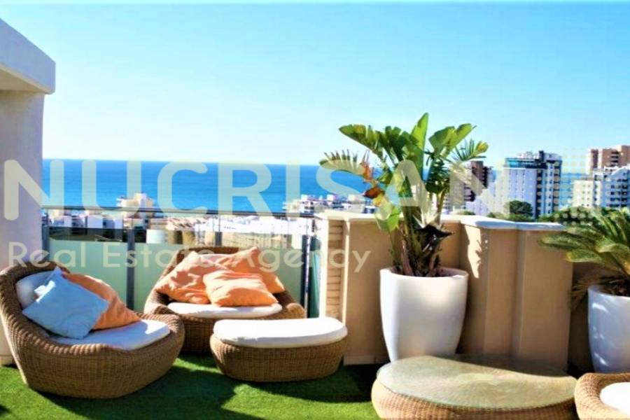 el Campello,Alicante,España,3 Bedrooms Bedrooms,2 BathroomsBathrooms,Atico,21672