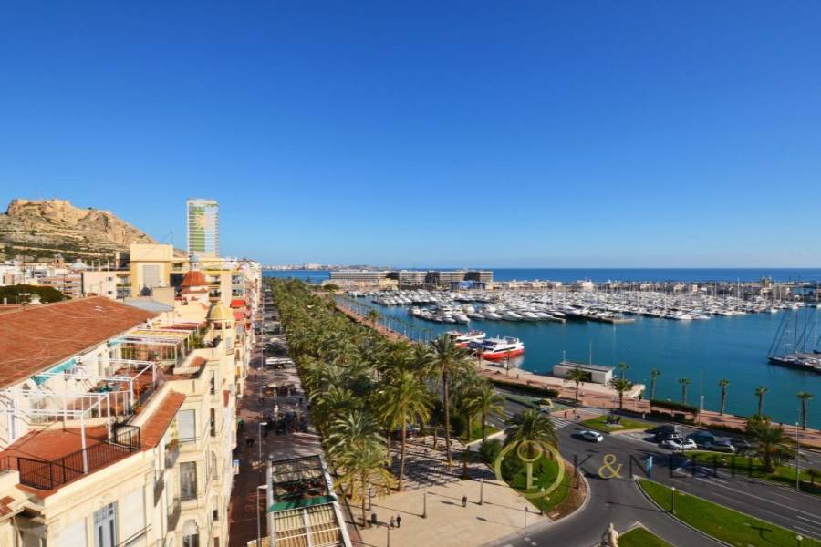 Alicante,Alicante,España,4 Bedrooms Bedrooms,2 BathroomsBathrooms,Atico,21722