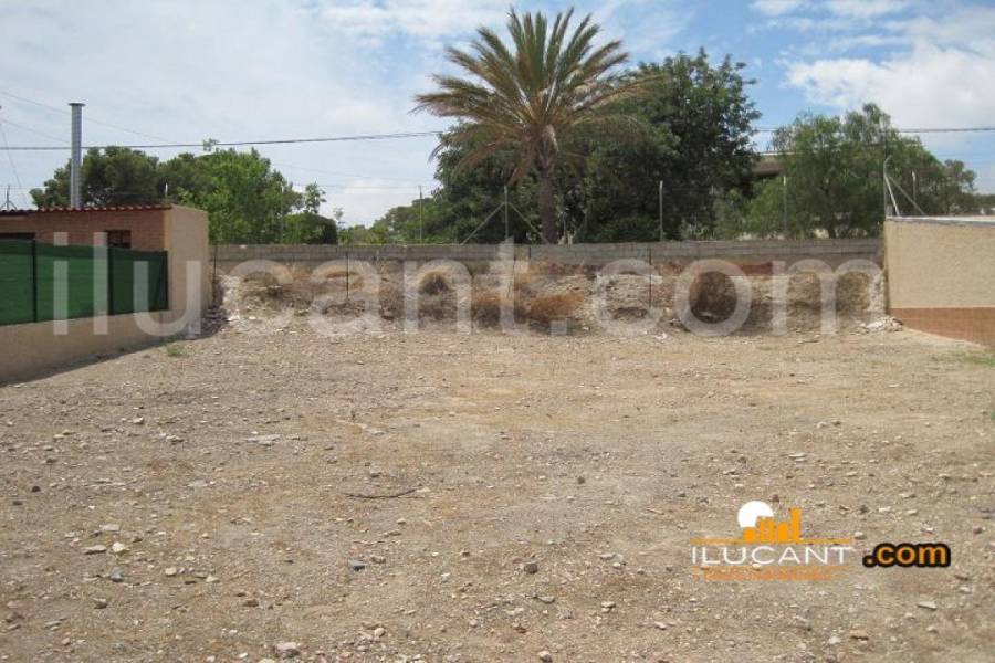 San Juan,Alicante,España,Lotes-Terrenos,21805